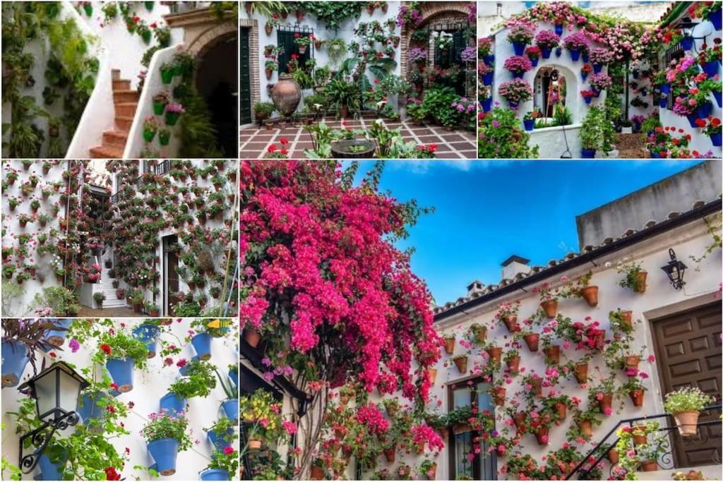 Apartamento Centrico En El Casco Historico De Córdoba Buitenkant foto